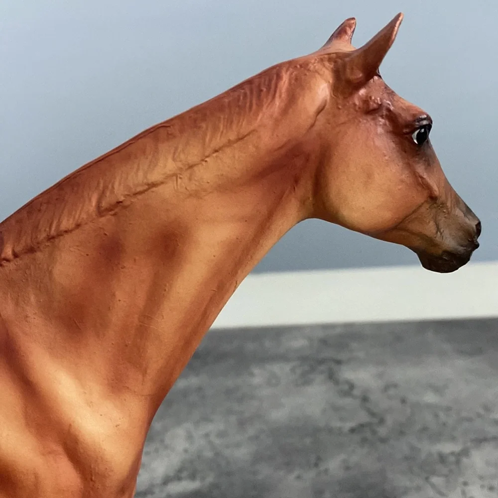Breyer Retired Let’s Go Riding: Racing - Picture 12 of 16